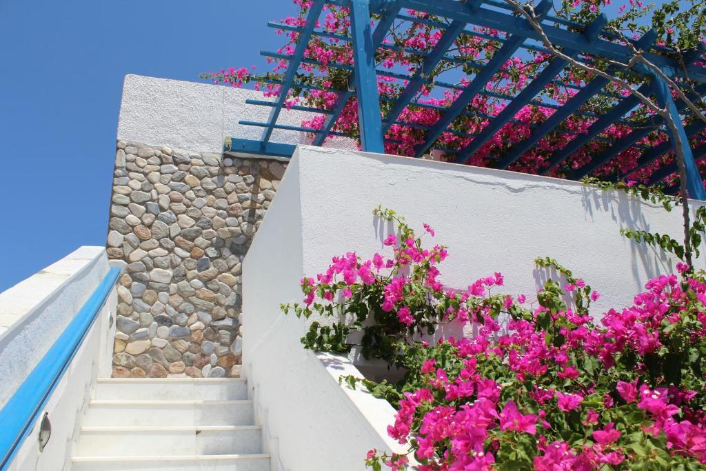 Meltemi Pension Ios Chora Extérieur photo